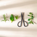 Small Gardening Scissors - Set of 2