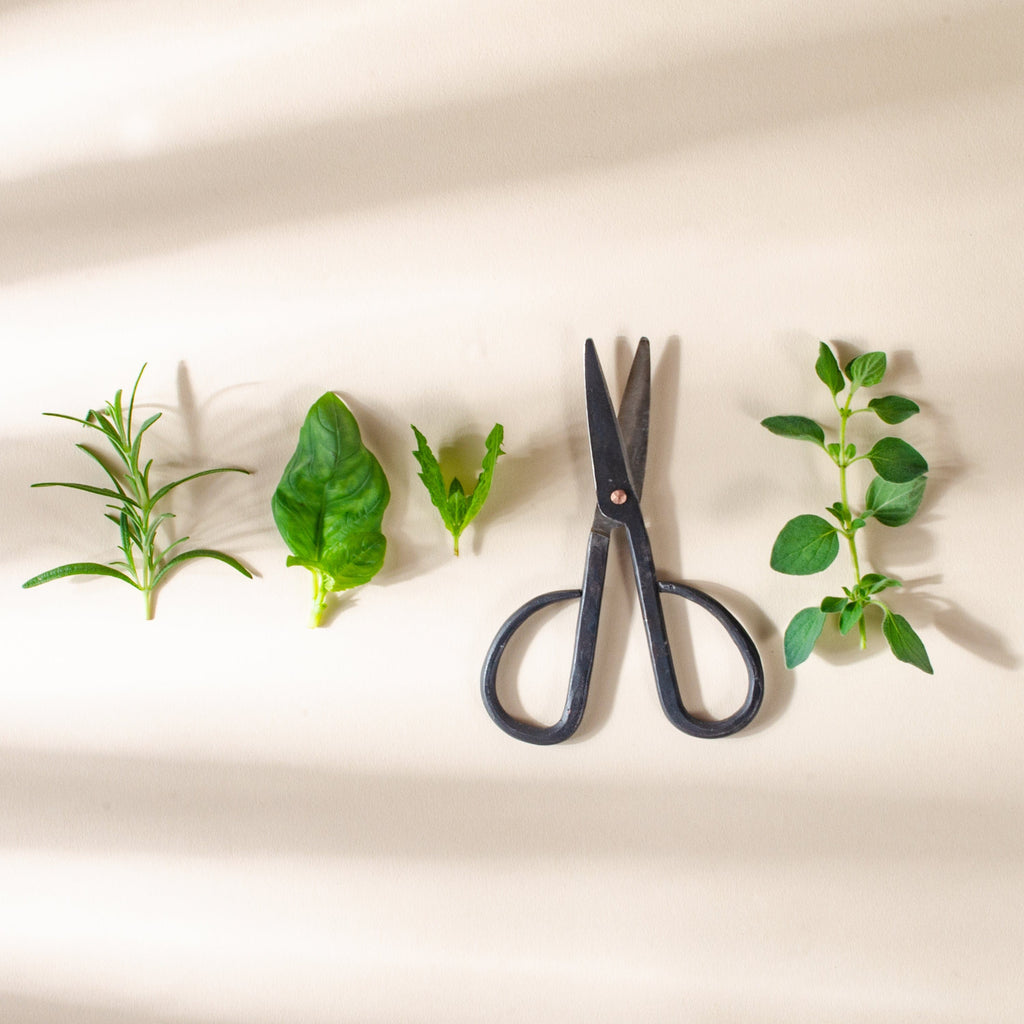 Small Gardening Scissors - Set of 2