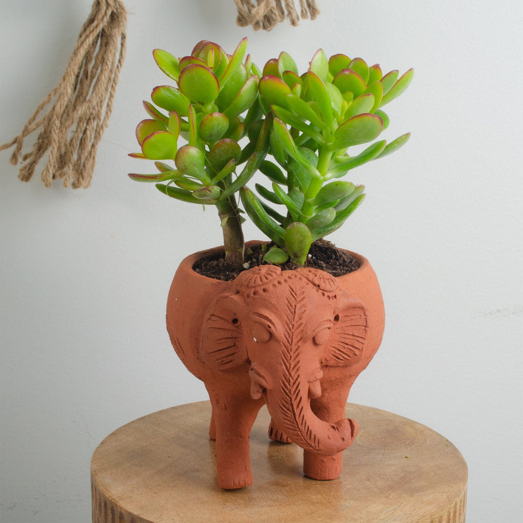 Terracotta Plant Pal - Elephant