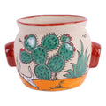 Flower Pot - Mexican Desert
